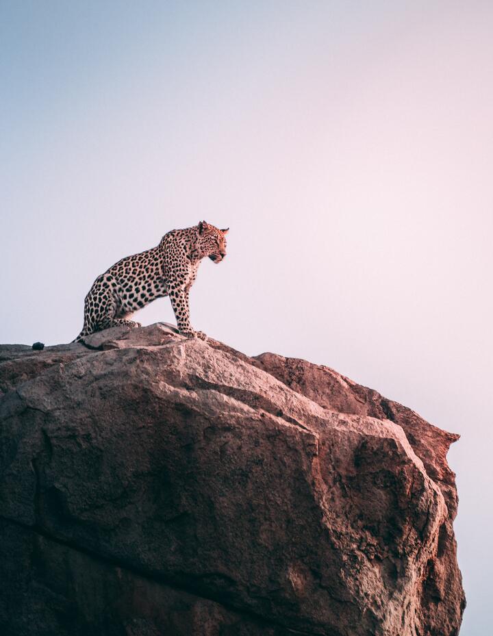 Photo by Geran de Klerk on Unsplash