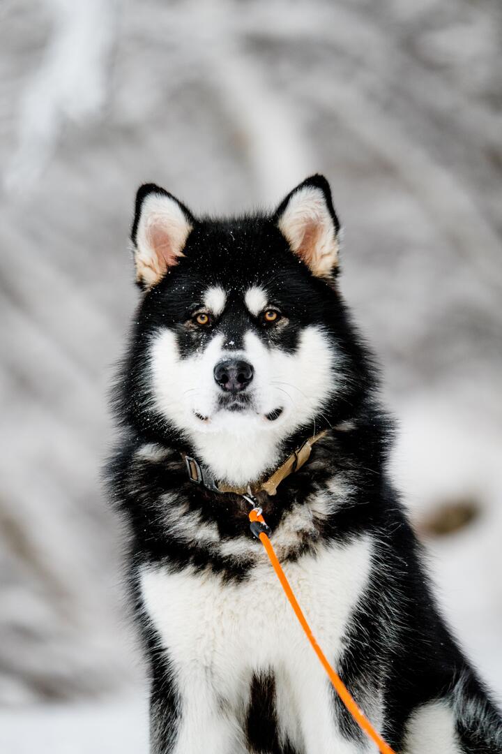 Photo by Till Daling on pexels