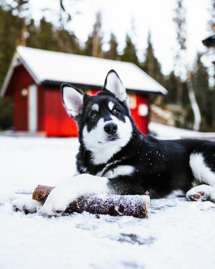 Photo by Till Daling on pexels