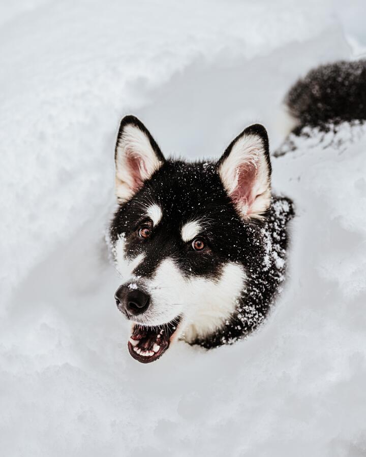 Photo by Till Daling on pexels