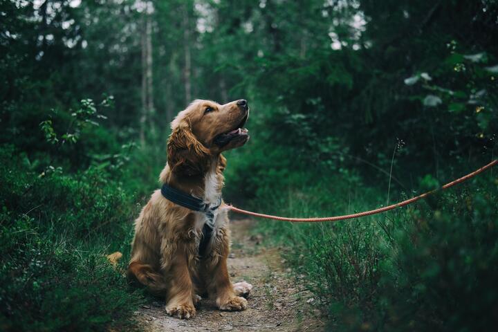 Photo by Johann on pexels