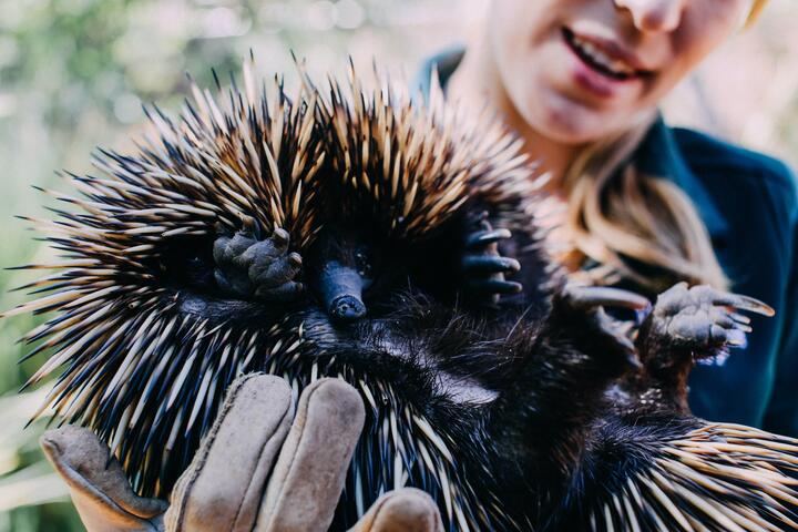 Photo by Rachel Claire on pexels