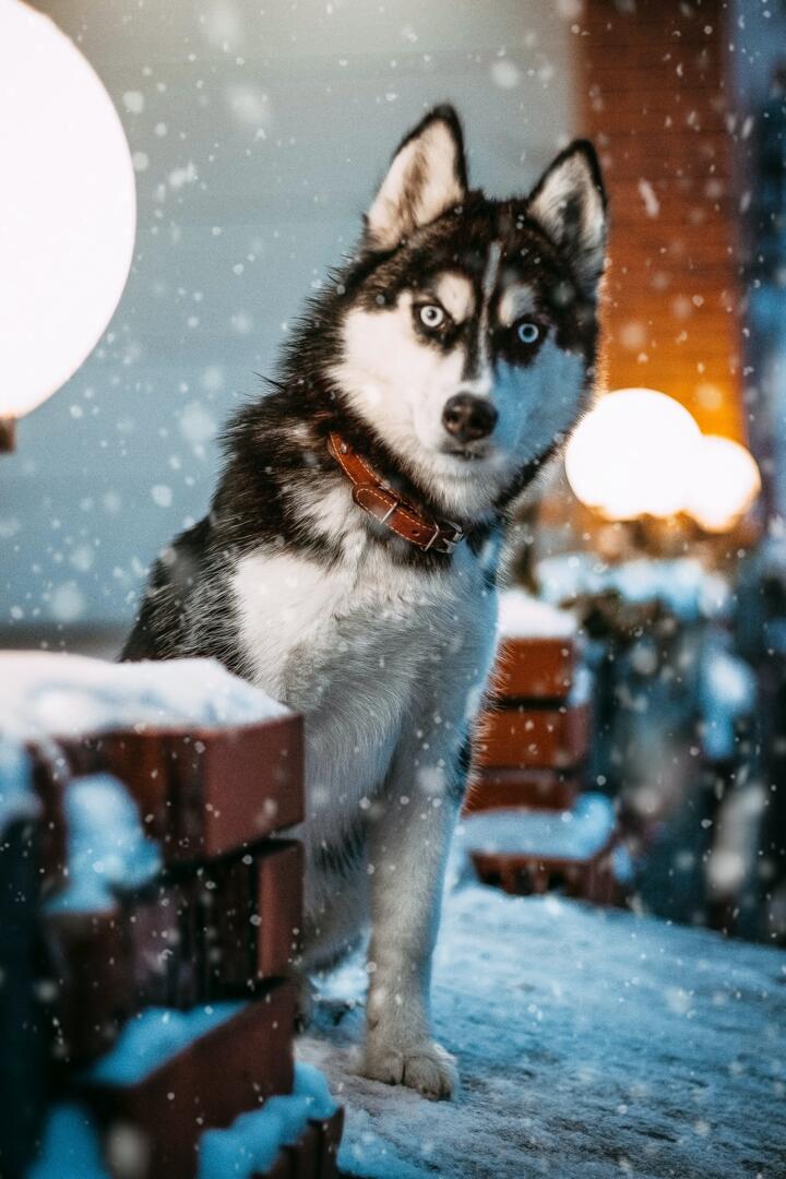 Photo by Kateryna Babaieva on pexels