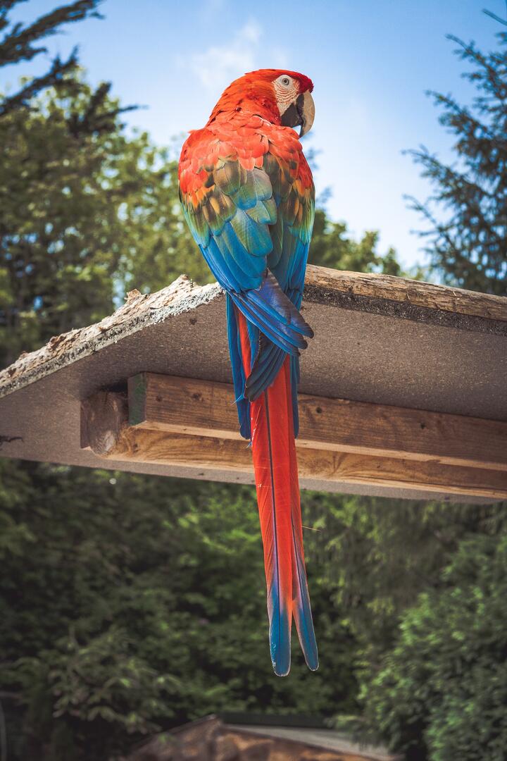 Photo by James Frid on pexels