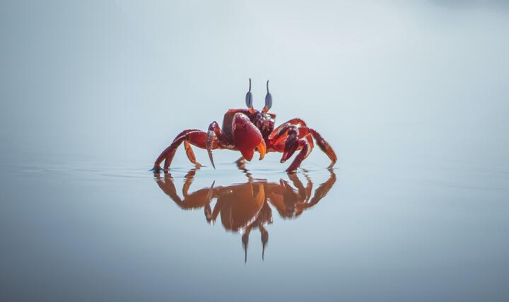 Photo by rompalli harish on pexels