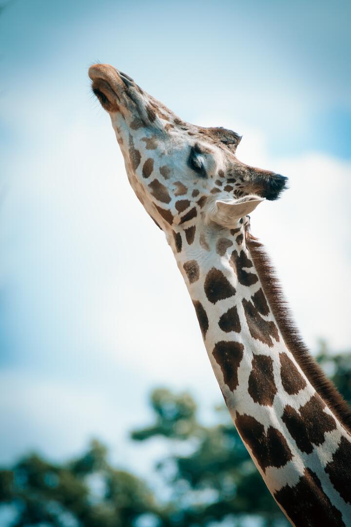 Photo by Todd Trapani on pexels