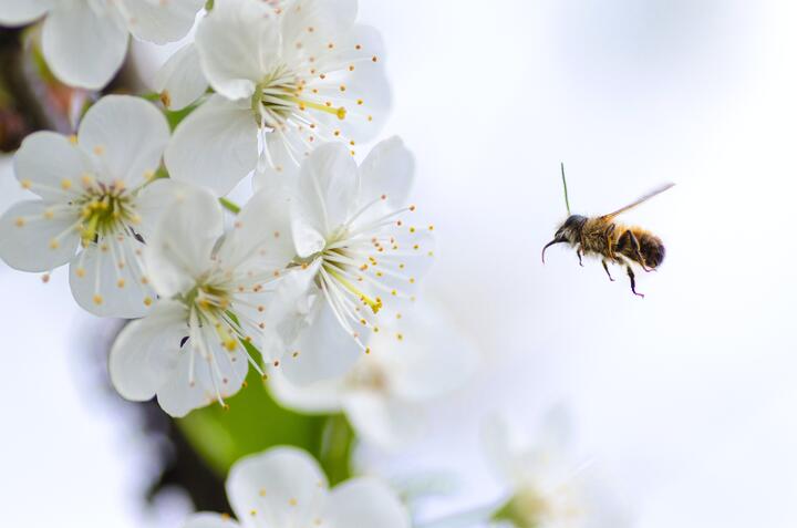 Photo by Lukas on pexels