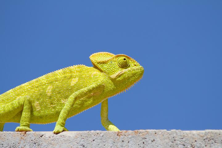 Photo by Sharath G. on pexels