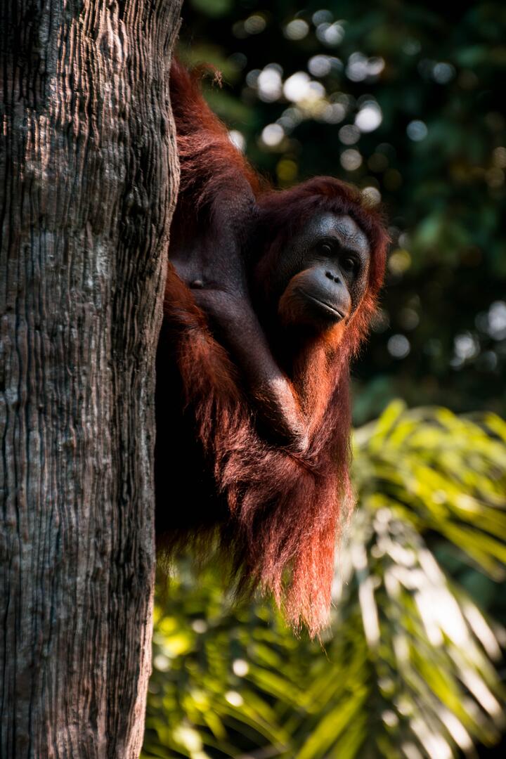 Photo by Ludwig  Kwan on pexels