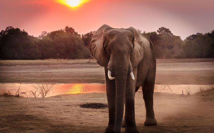 Photo by Harvey Sapir on pexels