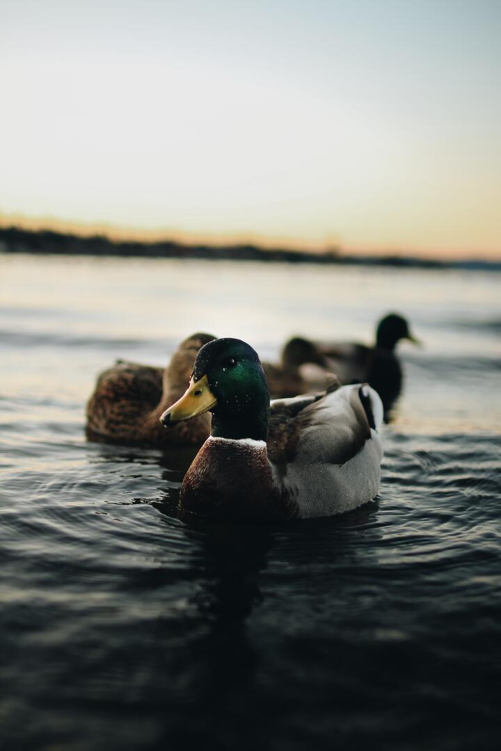 Photo by Aidan Jarrett on pexels