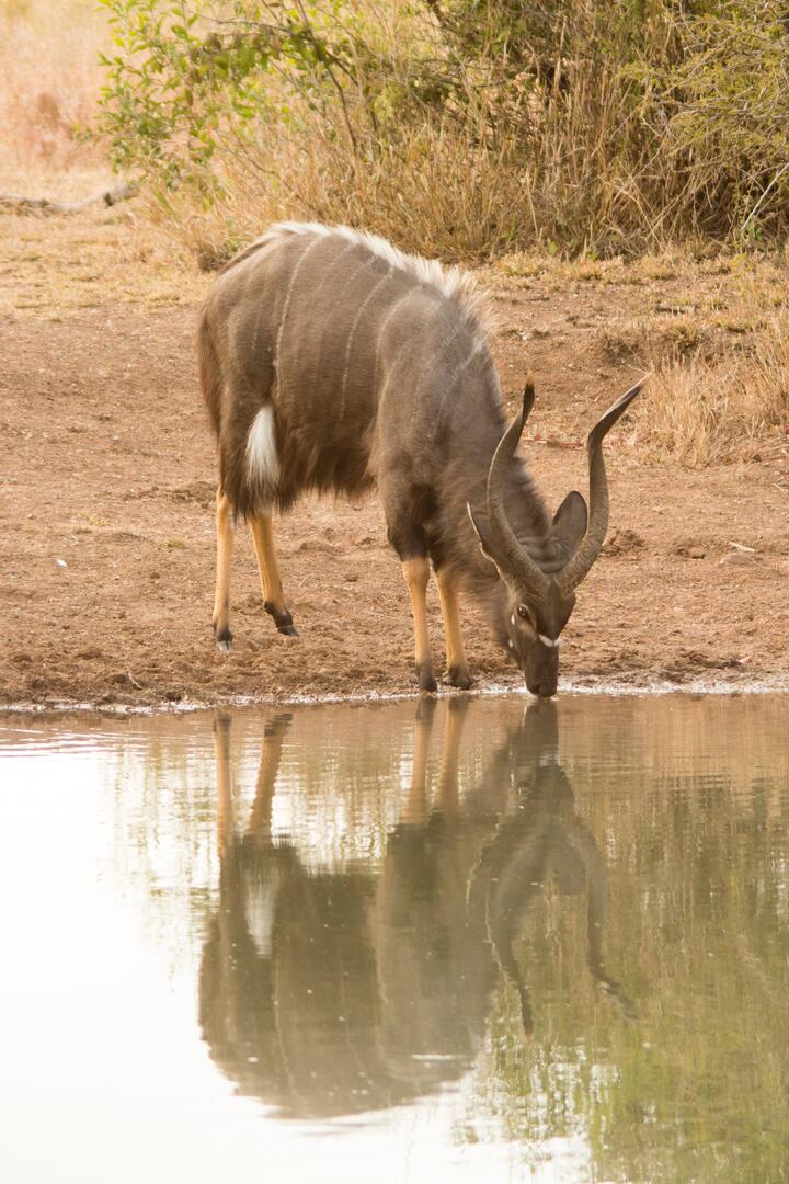 Photo by Charmain Jansen van Rensburg on pexels