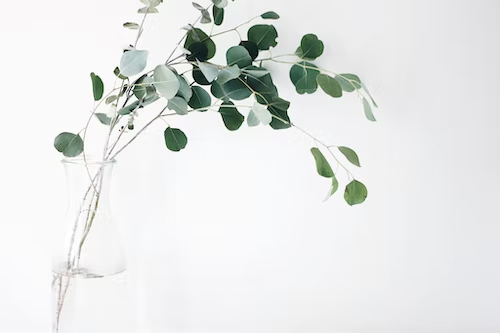 Photo by Jazmin Quaynor on Unsplash
